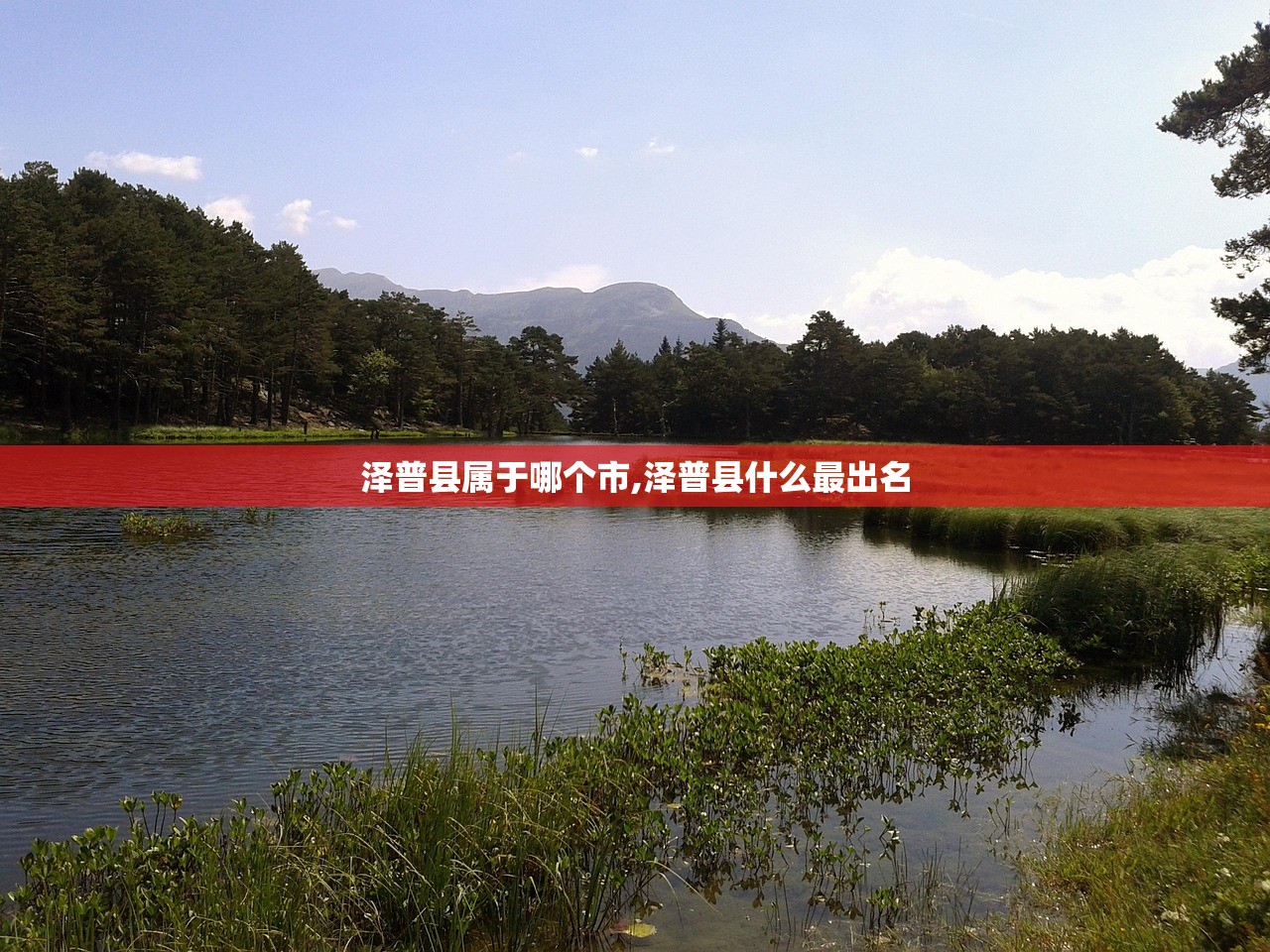 泽普县属于哪个市,泽普县什么最出名