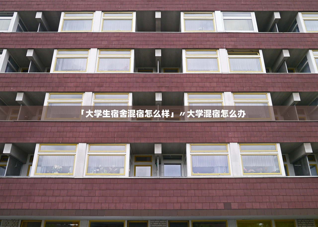 「大学生宿舍混宿怎么样」〃大学混宿怎么办