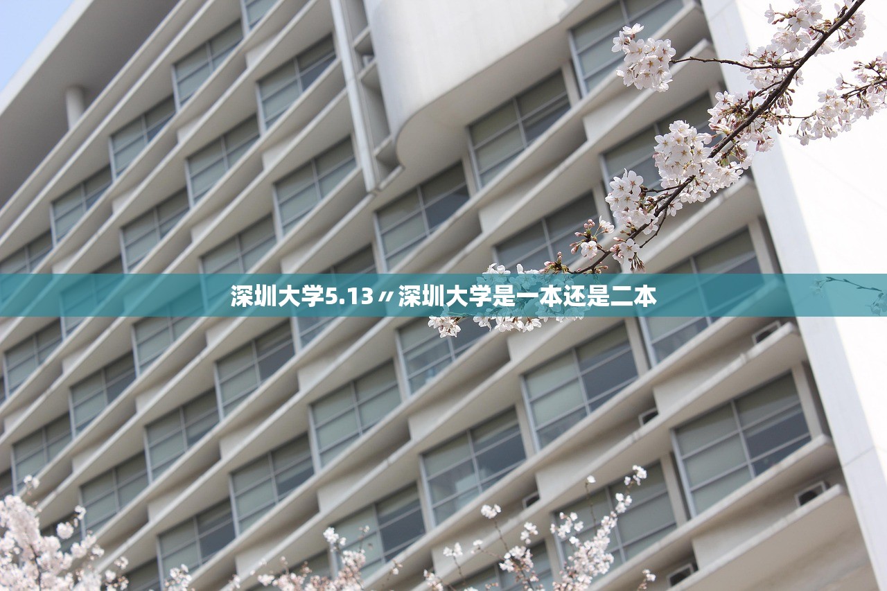 深圳大学5.13〃深圳大学是一本还是二本