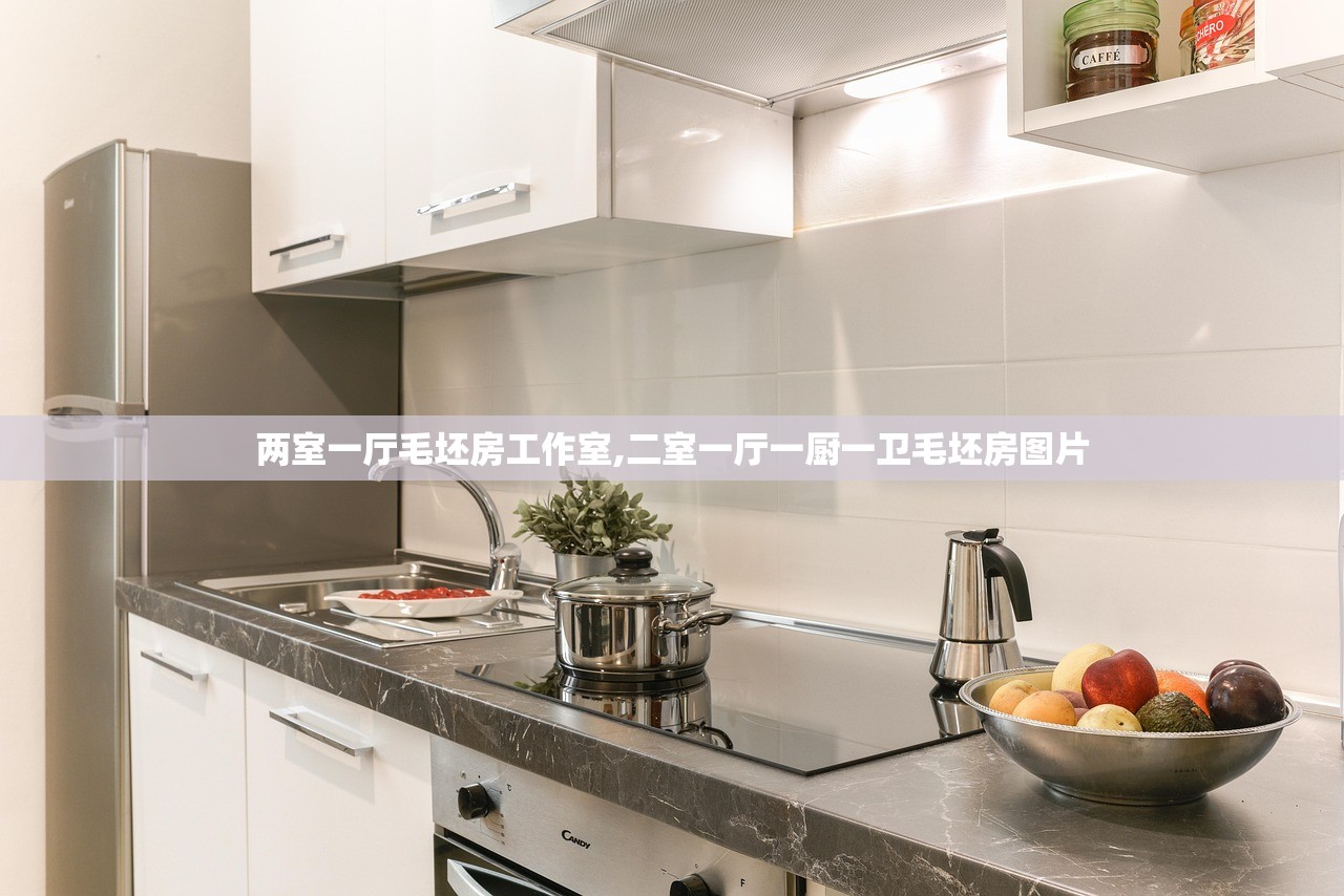 两室一厅毛坯房工作室,二室一厅一厨一卫毛坯房图片