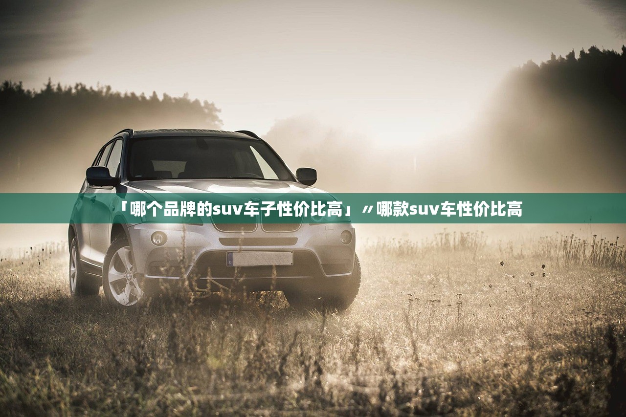 「哪个品牌的suv车子性价比高」〃哪款suv车性价比高 「哪个品牌的suv车子性价比高」〃哪款suv车性价比高