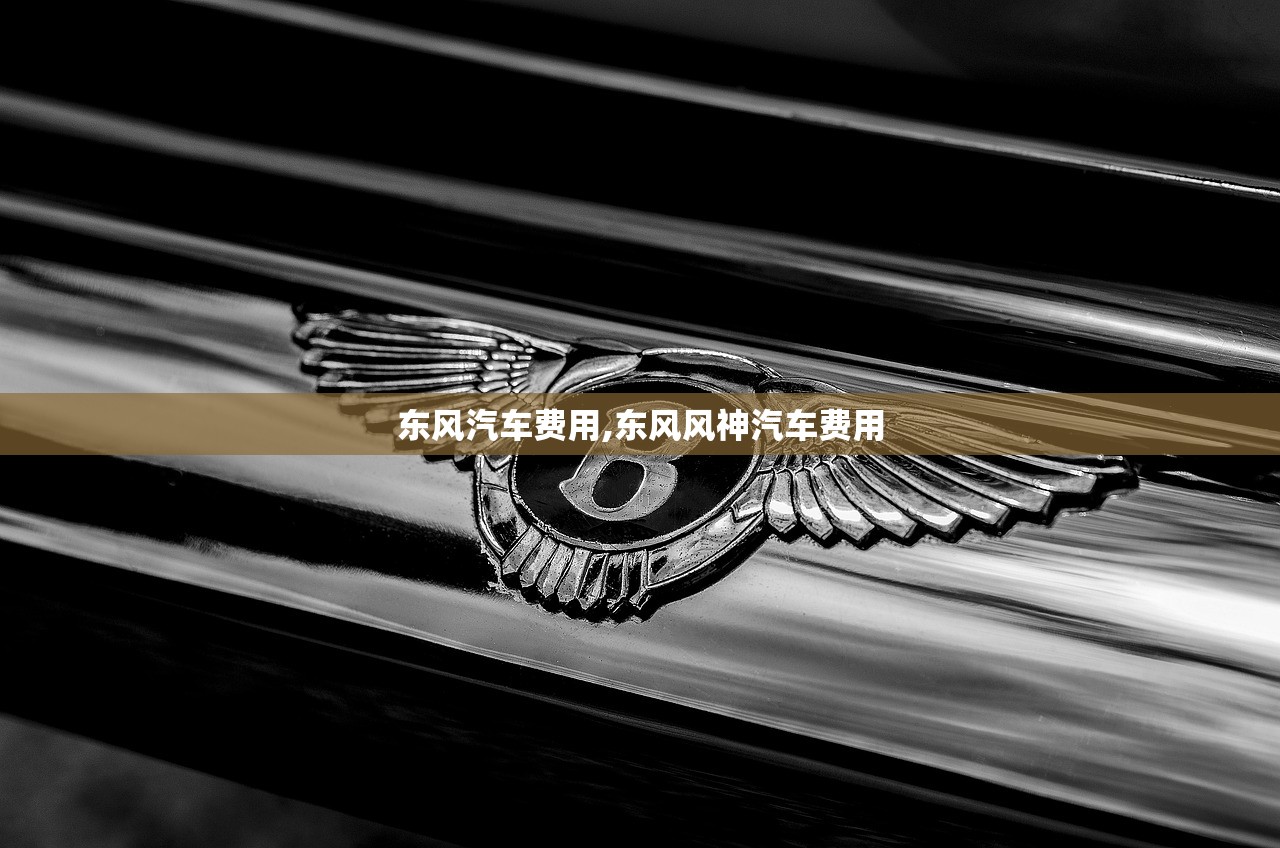 东风汽车费用,东风风神汽车费用 东风汽车费用,东风风神汽车费用