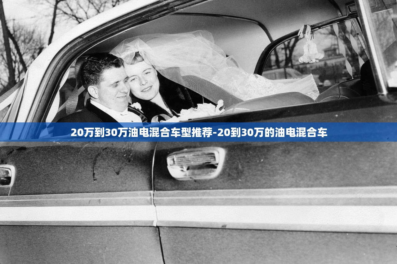 20万到30万油电混合车型推荐-20到30万的油电混合车