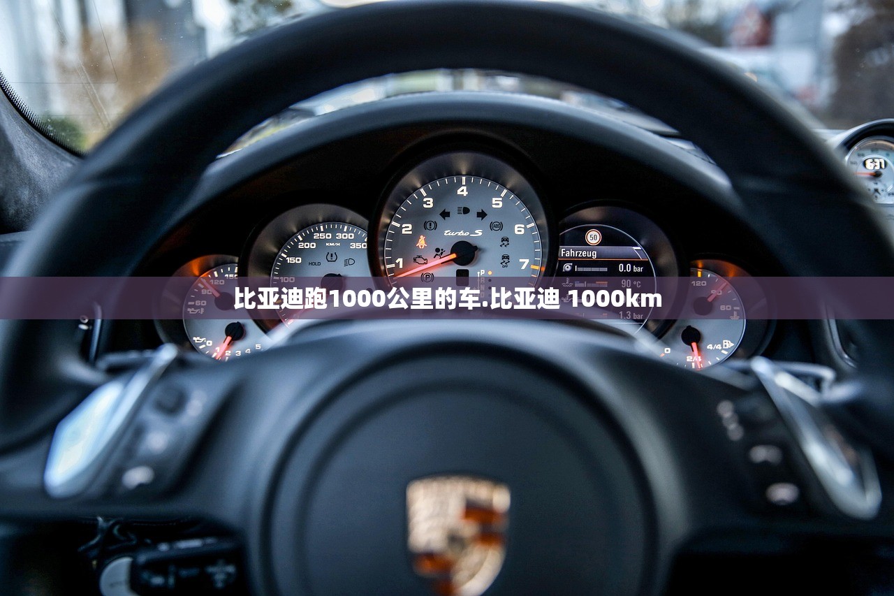 比亚迪跑1000公里的车.比亚迪 1000km