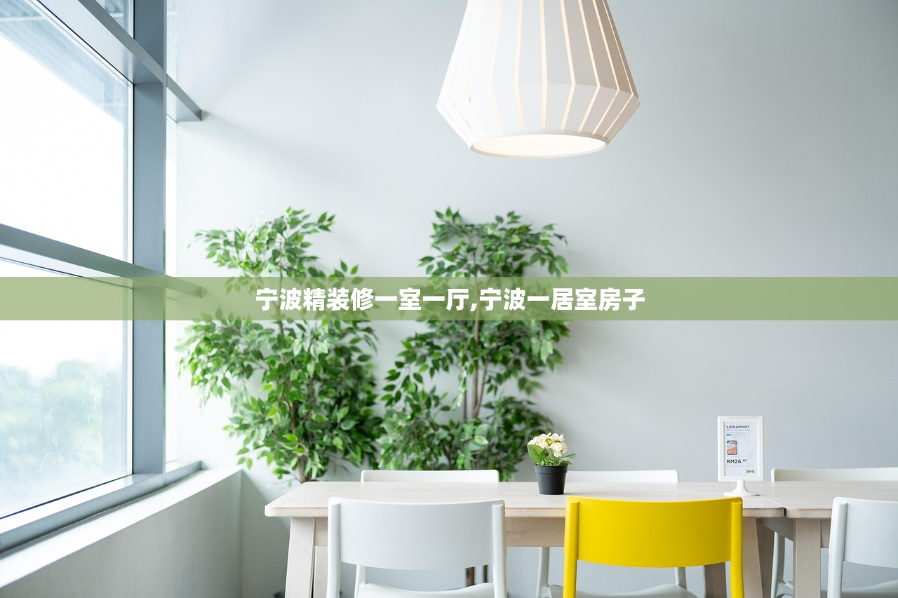 宁波精装修一室一厅,宁波一居室房子