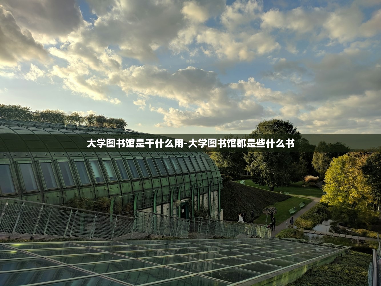大学图书馆是干什么用-大学图书馆都是些什么书