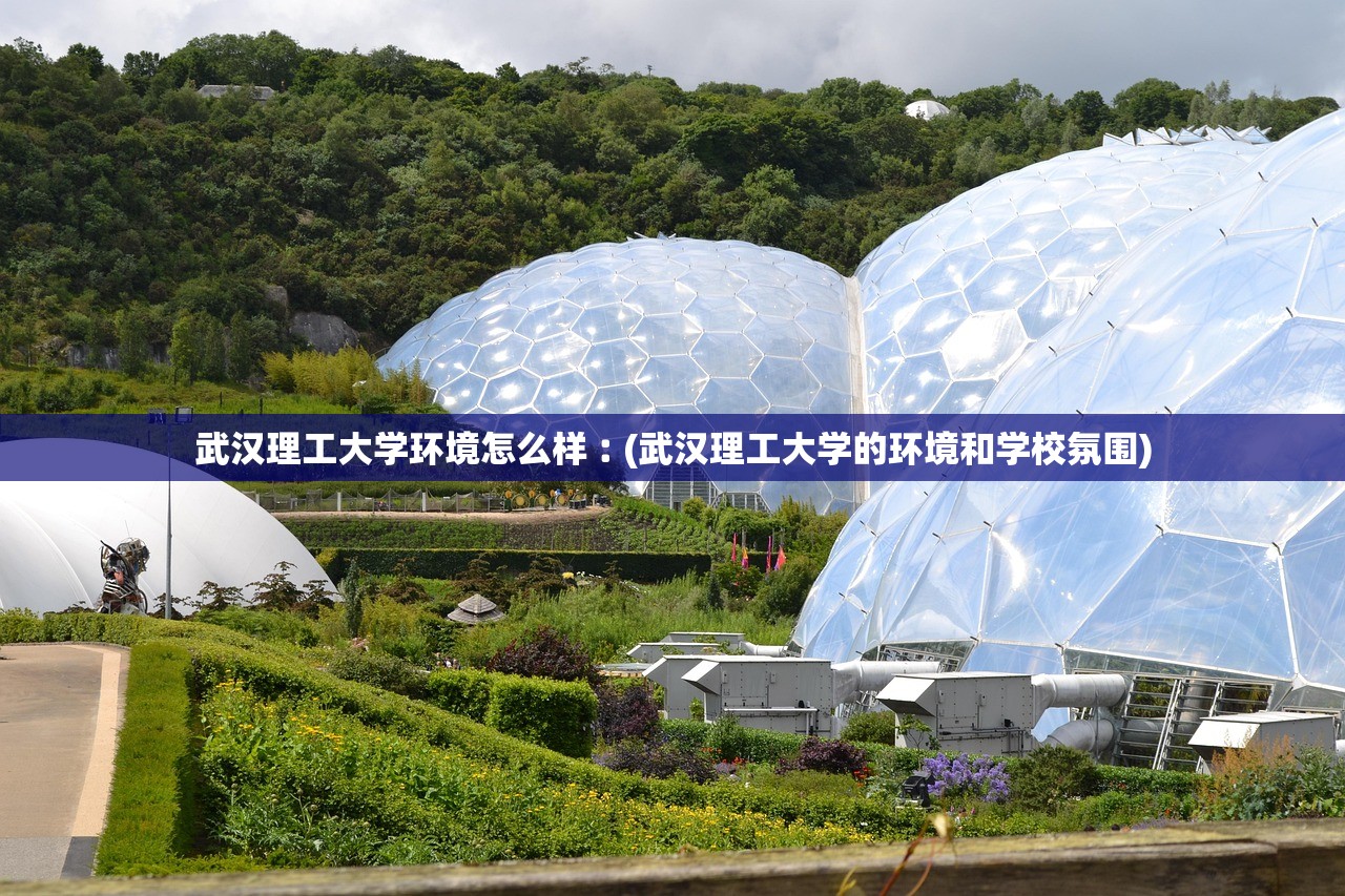 武汉理工大学环境怎么样︰(武汉理工大学的环境和学校氛围)
