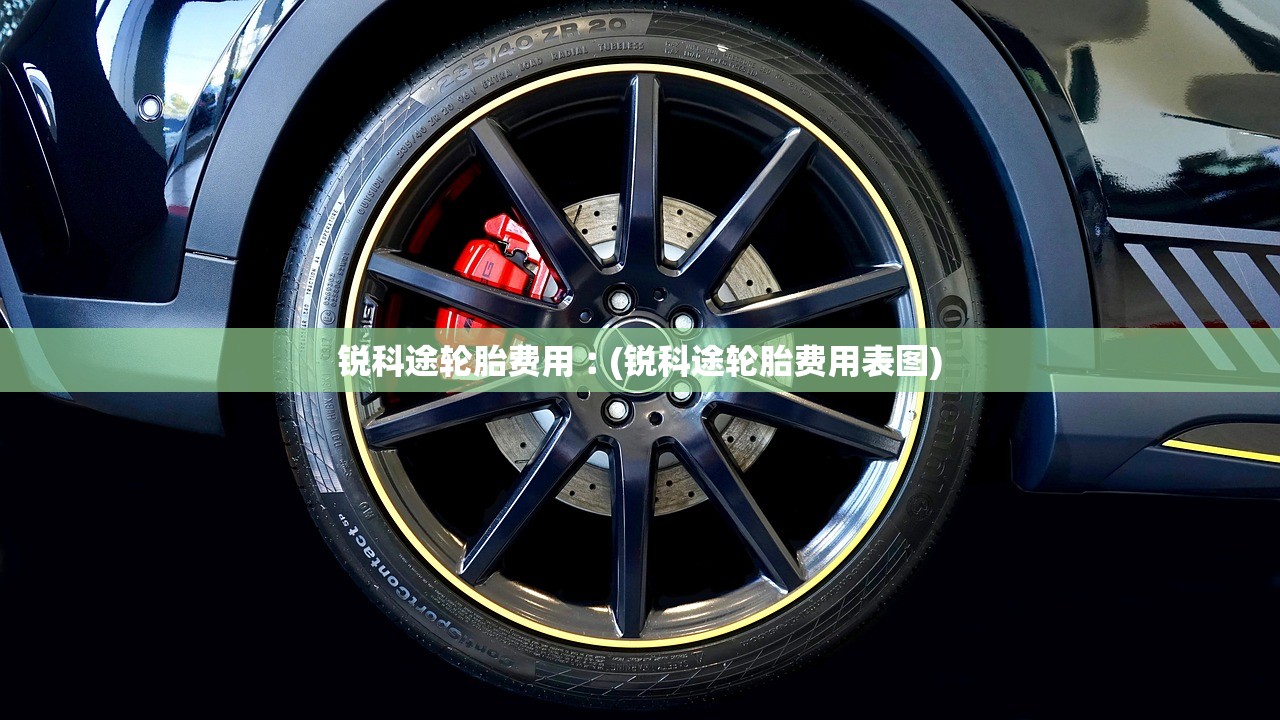 锐科途轮胎费用︰(锐科途轮胎费用表图)