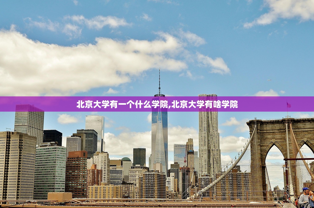 北京大学有一个什么学院,北京大学有啥学院 北京大学有一个什么学院,北京大学有啥学院
