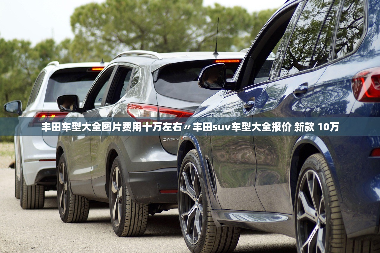 丰田车型大全图片费用十万左右〃丰田suv车型大全报价 新款 10万 丰田车型大全图片费用十万左右〃丰田suv车型大全报价 新款 10万