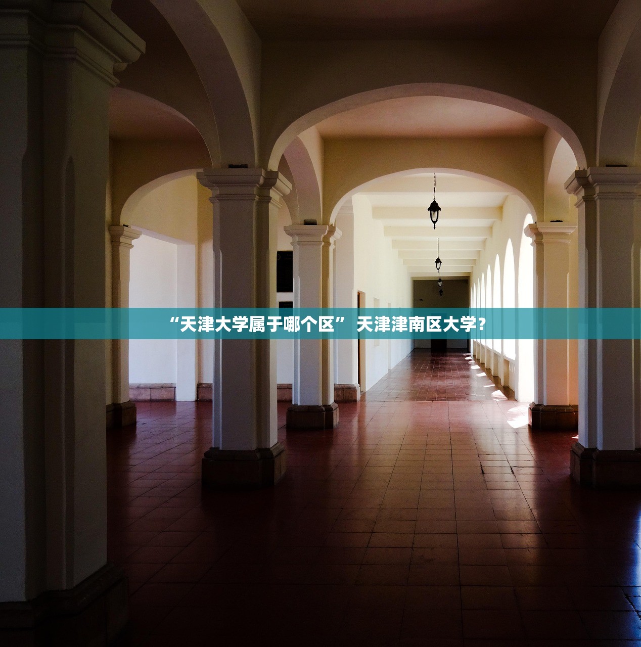 “天津大学属于哪个区	” 天津津南区大学？