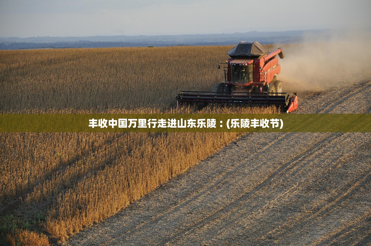 丰收中国万里行走进山东乐陵︰(乐陵丰收节) 丰收中国万里行走进山东乐陵︰(乐陵丰收节)
