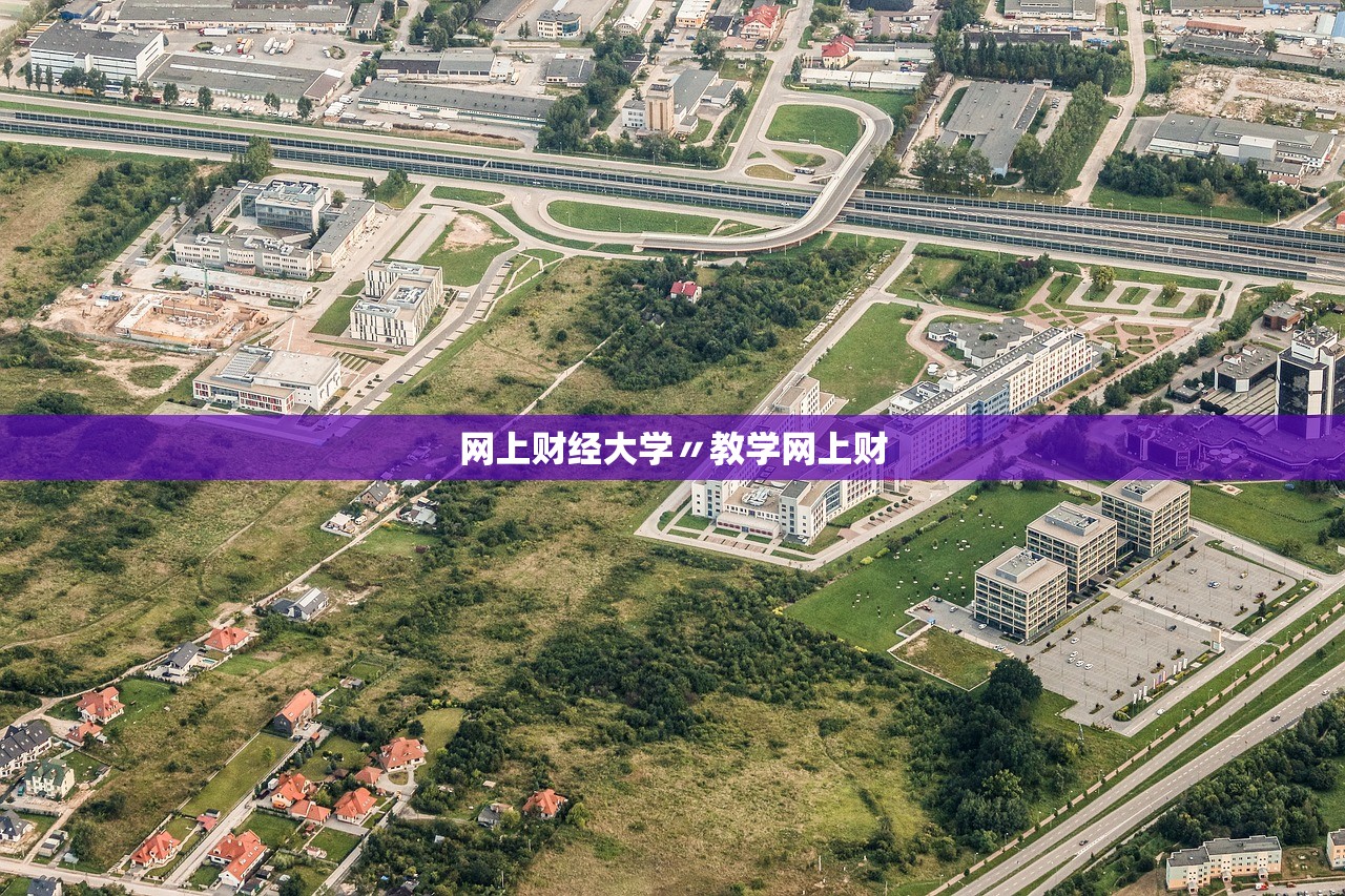 网上财经大学〃教学网上财