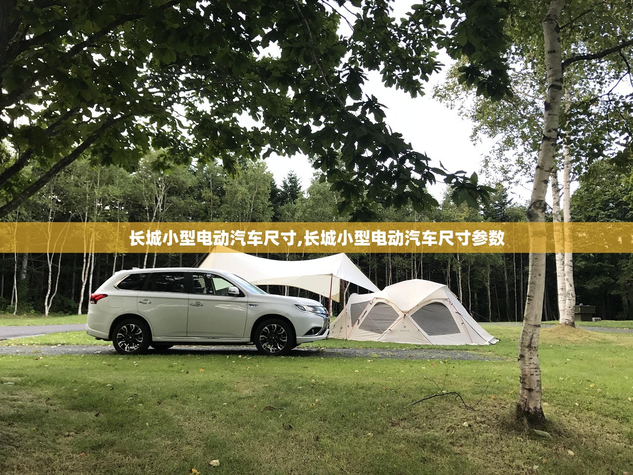 长城小型电动汽车尺寸,长城小型电动汽车尺寸参数
