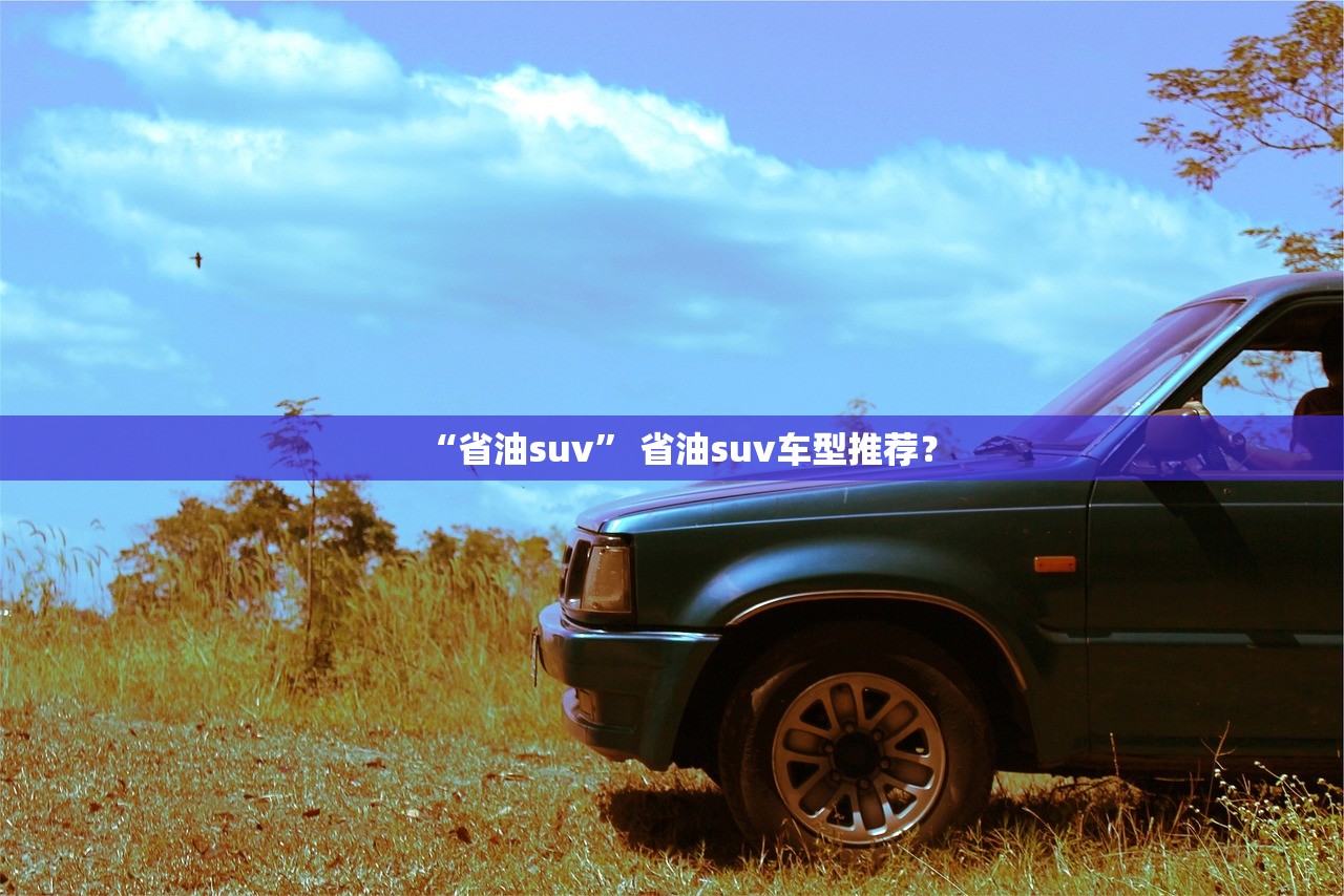 “省油suv” 省油suv车型推荐？