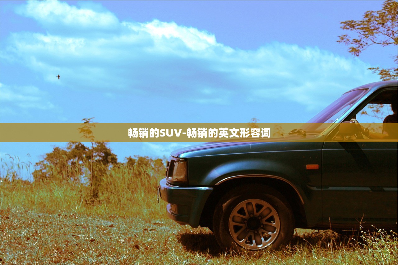畅销的SUV-畅销的英文形容词