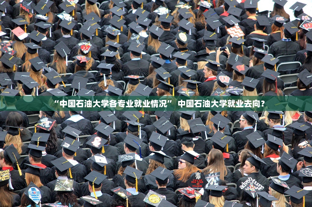 “中国石油大学各专业就业情况” 中国石油大学就业去向？