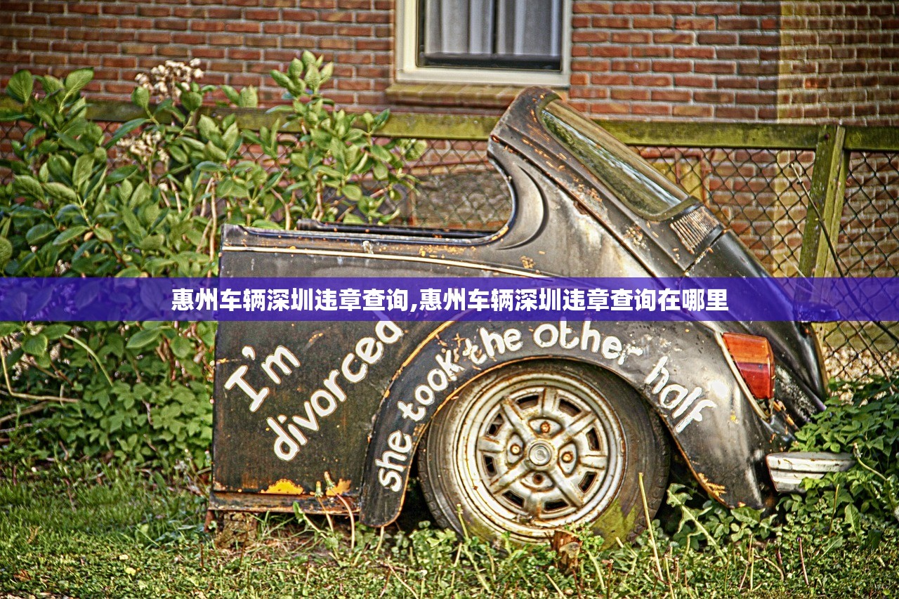 惠州车辆深圳违章查询,惠州车辆深圳违章查询在哪里