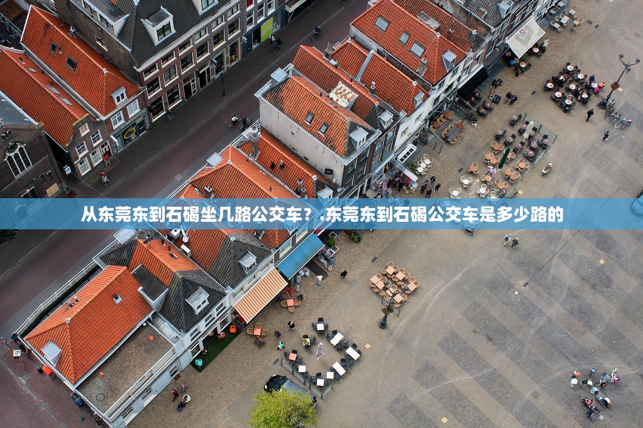 从东莞东到石碣坐几路公交车?.东莞东到石碣公交车是多少路的 从东莞东到石碣坐几路公交车?.东莞东到石碣公交车是多少路的