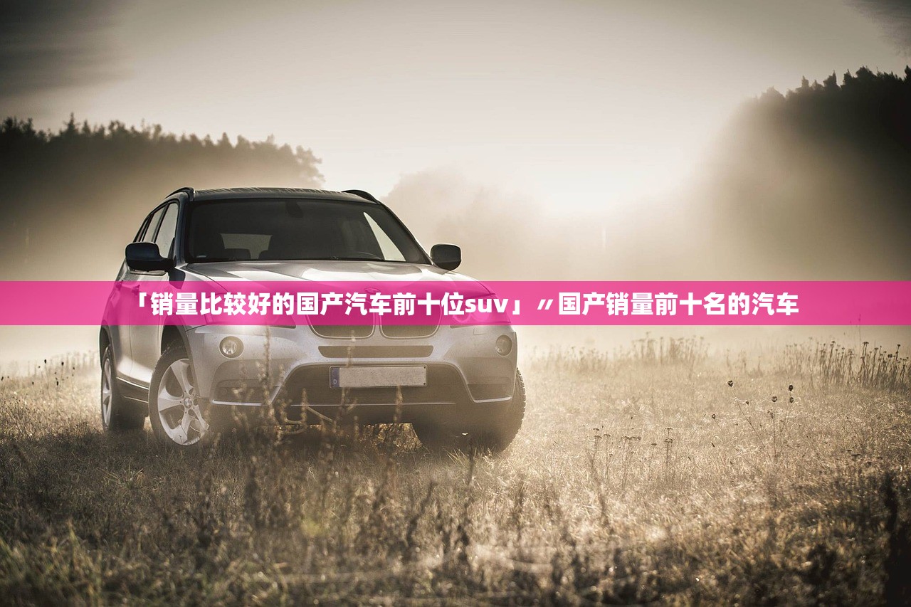 「销量比较好的国产汽车前十位suv」〃国产销量前十名的汽车 「销量比较好的国产汽车前十位suv」〃国产销量前十名的汽车