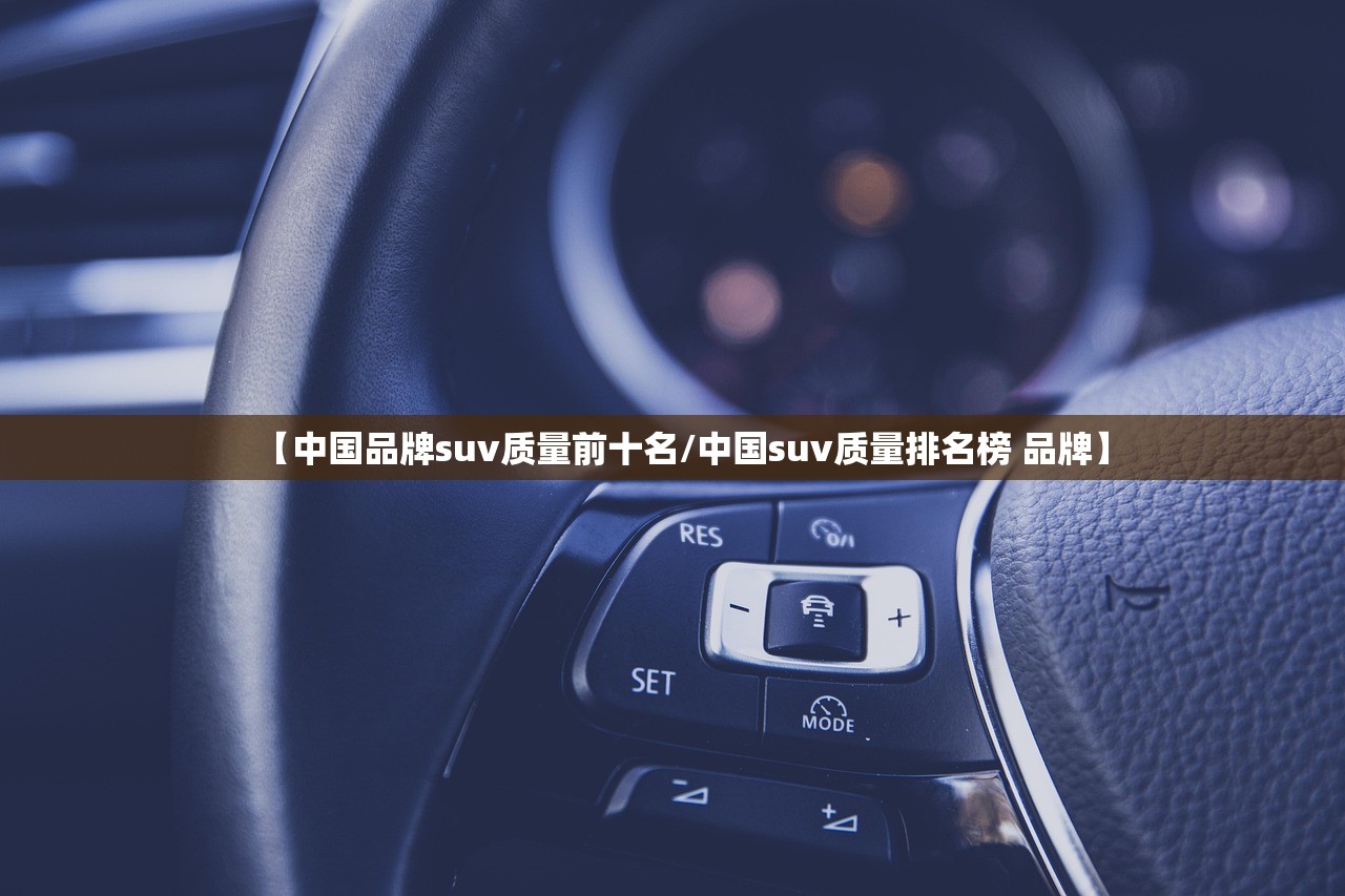 【中国品牌suv质量前十名/中国suv质量排名榜 品牌】 【中国品牌suv质量前十名/中国suv质量排名榜 品牌】