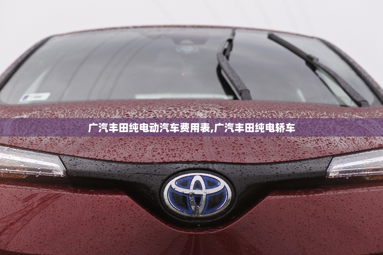 广汽丰田纯电动汽车费用表,广汽丰田纯电轿车 广汽丰田纯电动汽车费用表,广汽丰田纯电轿车