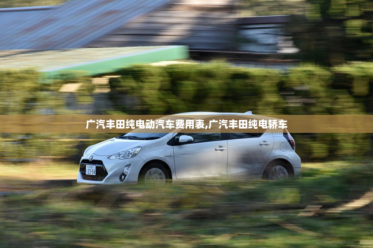 广汽丰田纯电动汽车费用表,广汽丰田纯电轿车 广汽丰田纯电动汽车费用表,广汽丰田纯电轿车