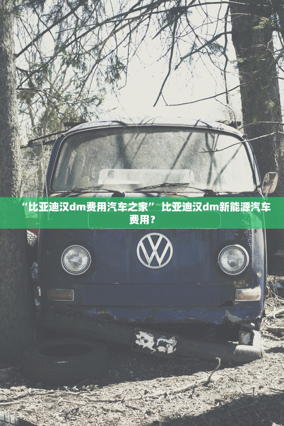 “比亚迪汉dm费用汽车之家	” 比亚迪汉dm新能源汽车费用？