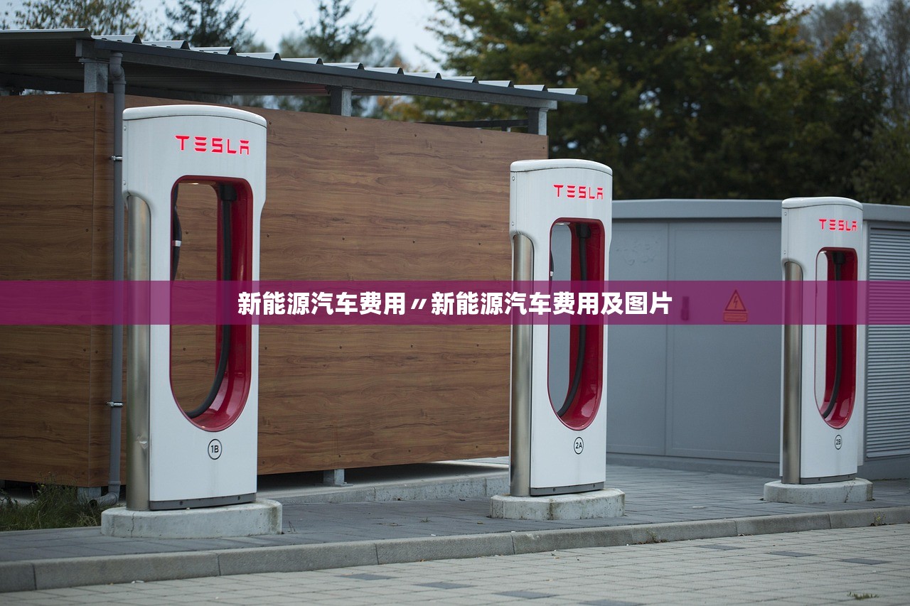 新能源汽车费用〃新能源汽车费用及图片 新能源汽车费用〃新能源汽车费用及图片