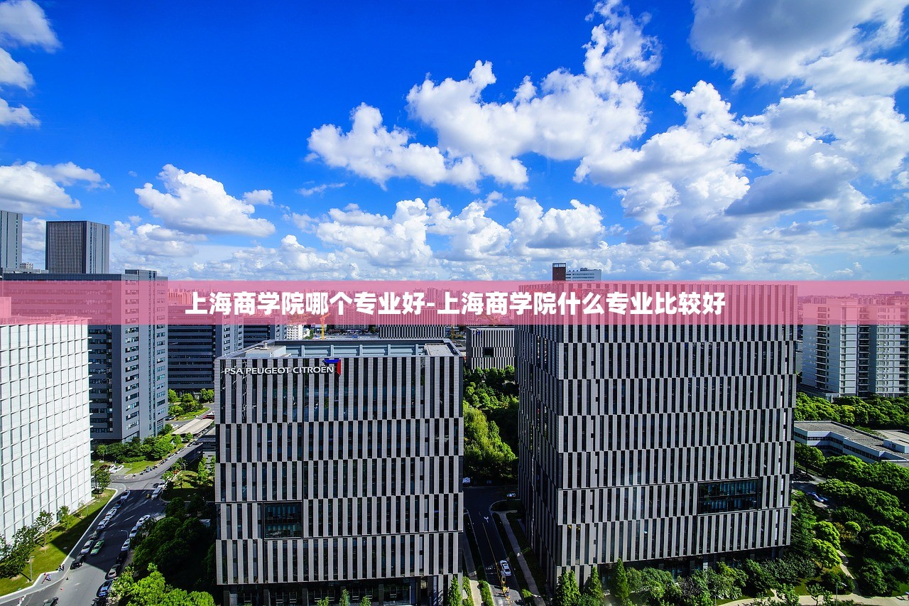 上海商学院哪个专业好-上海商学院什么专业比较好 上海商学院哪个专业好-上海商学院什么专业比较好