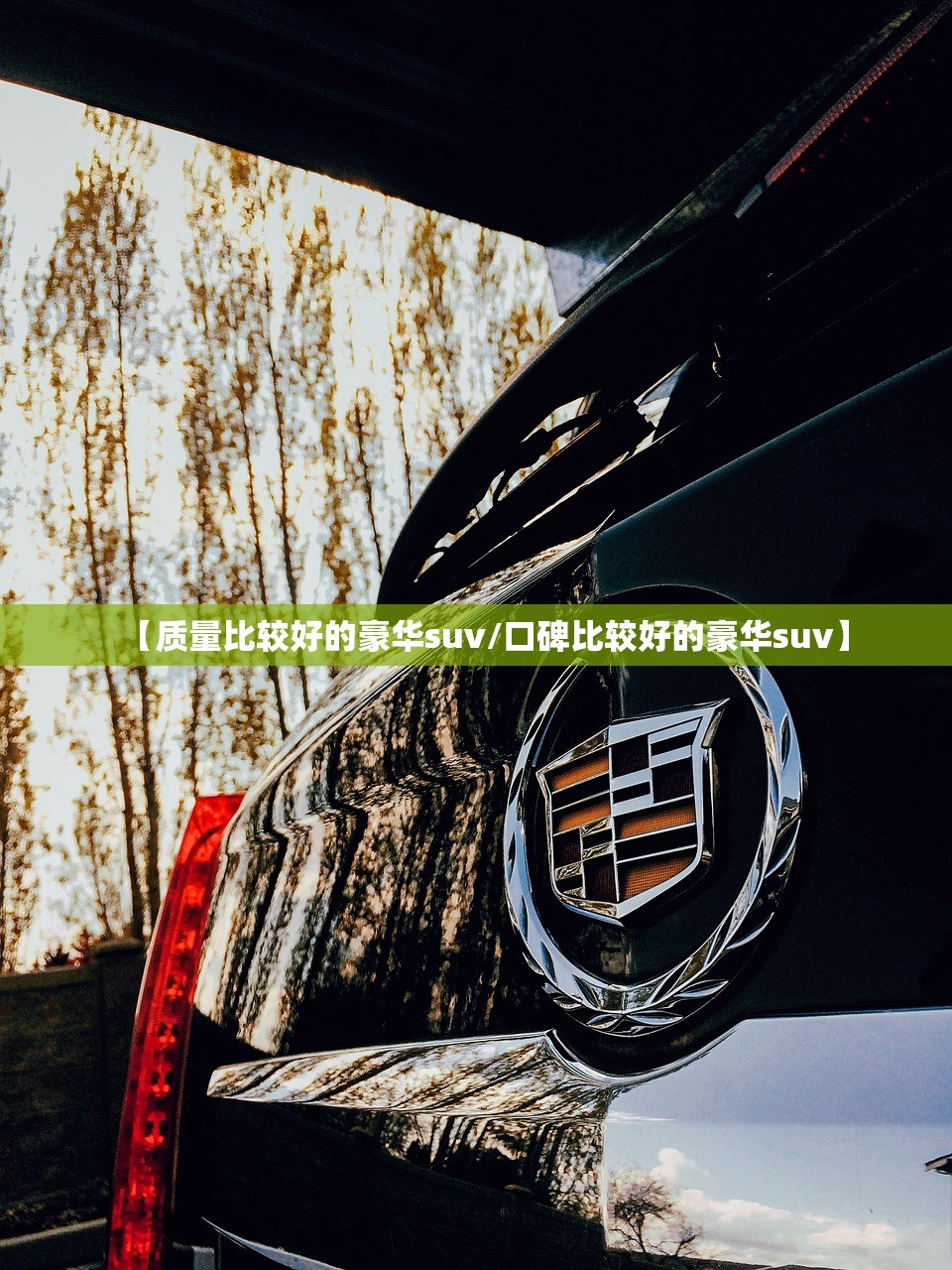 【质量比较好的豪华suv/口碑比较好的豪华suv】