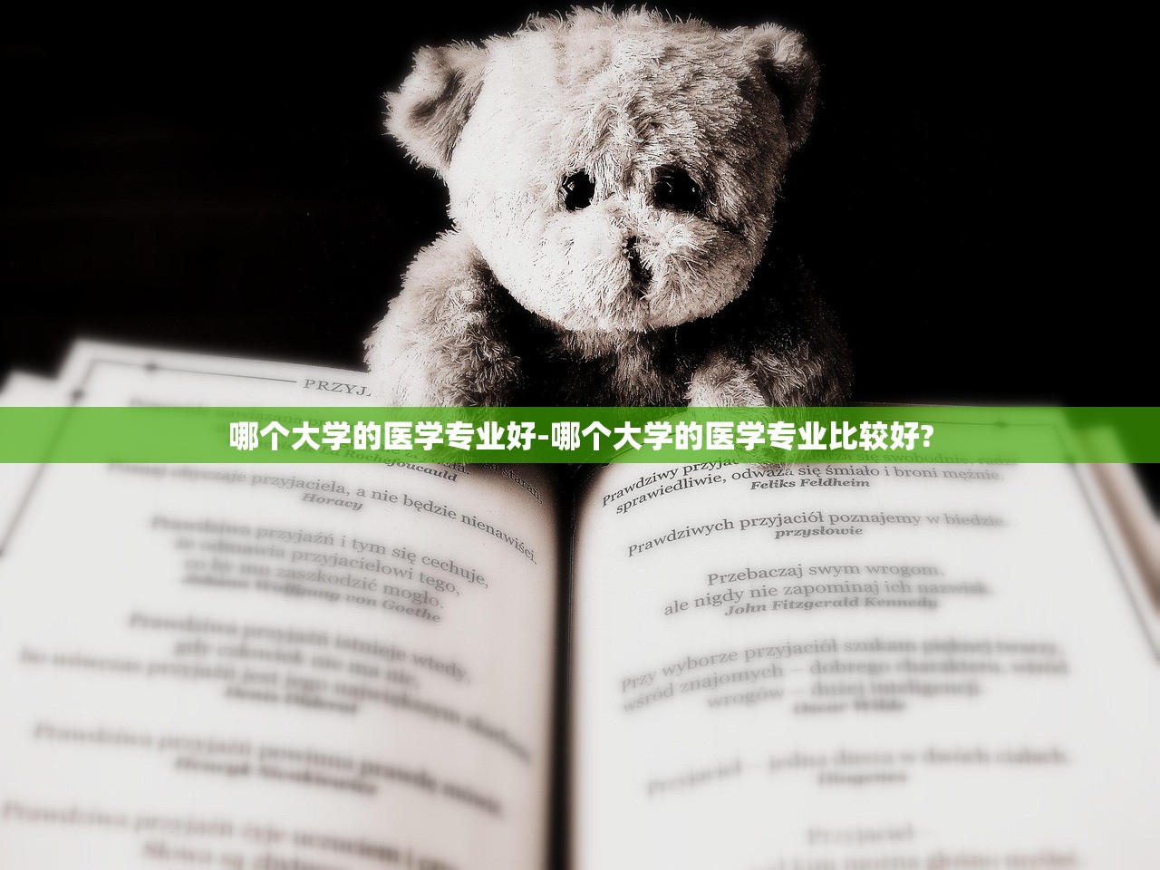 哪个大学的医学专业好-哪个大学的医学专业比较好?