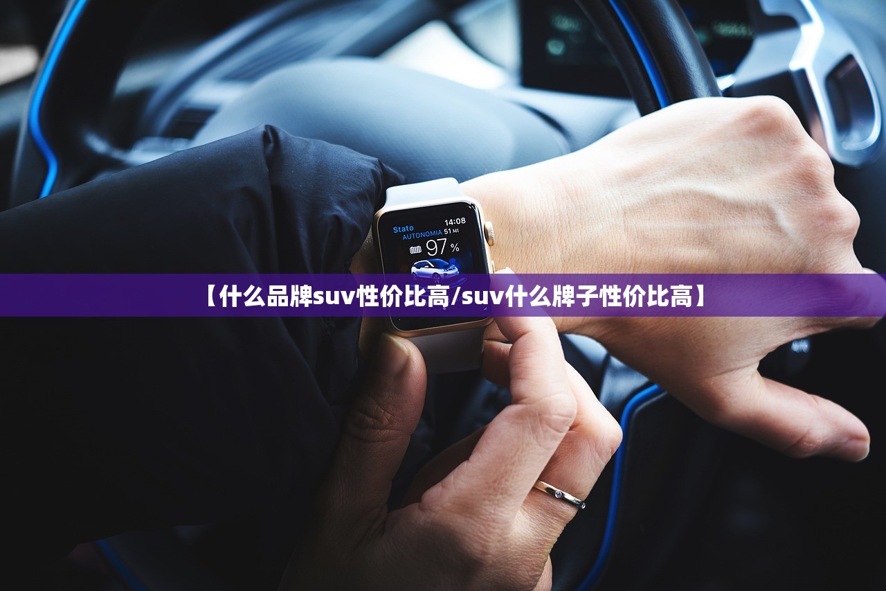 【什么品牌suv性价比高/suv什么牌子性价比高】