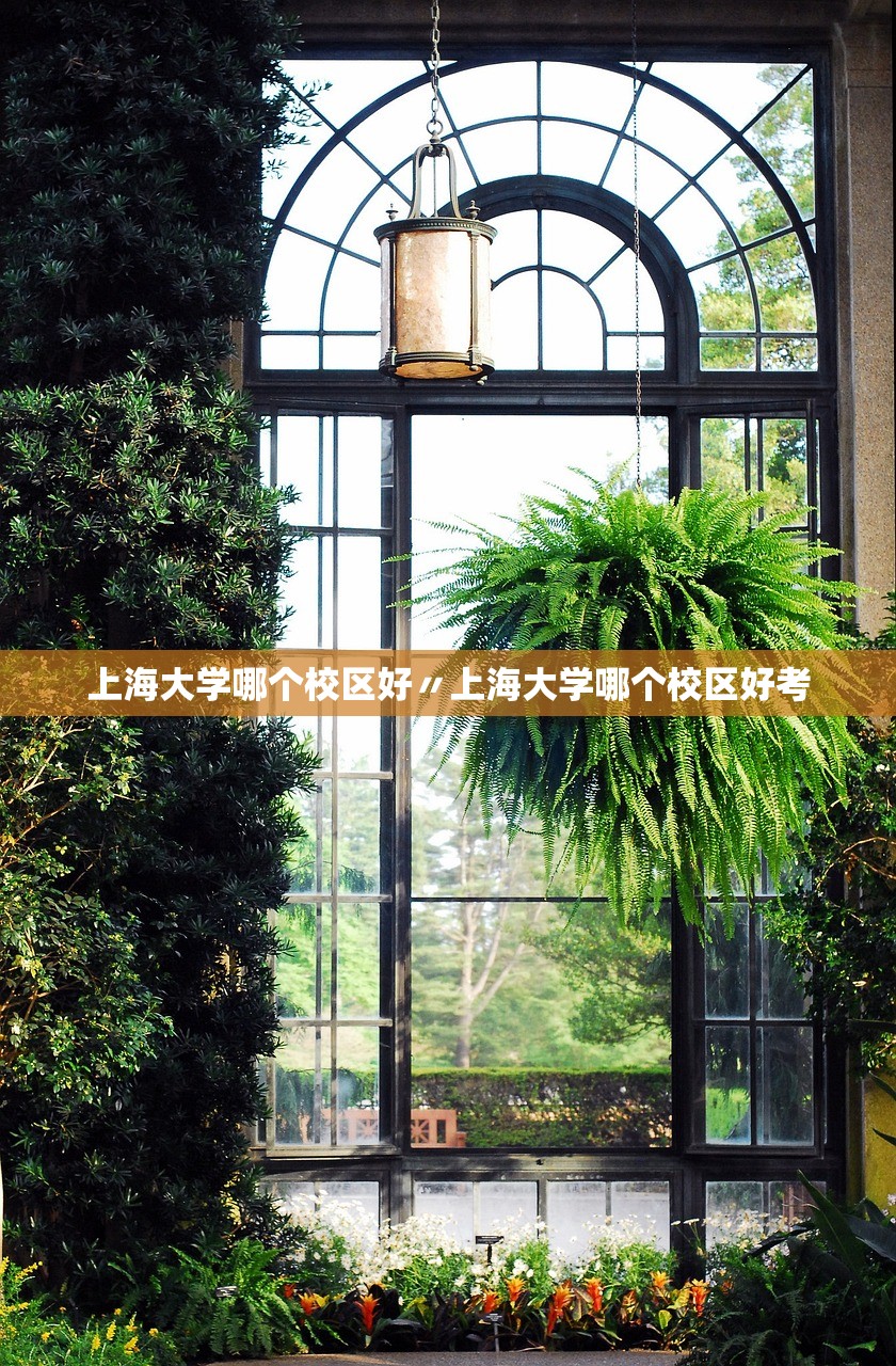 上海大学哪个校区好〃上海大学哪个校区好考 上海大学哪个校区好〃上海大学哪个校区好考