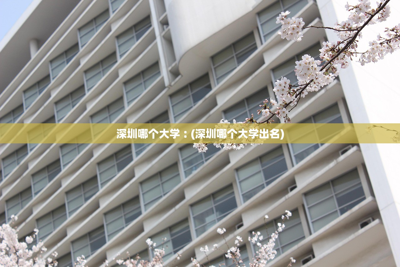 深圳哪个大学︰(深圳哪个大学出名)