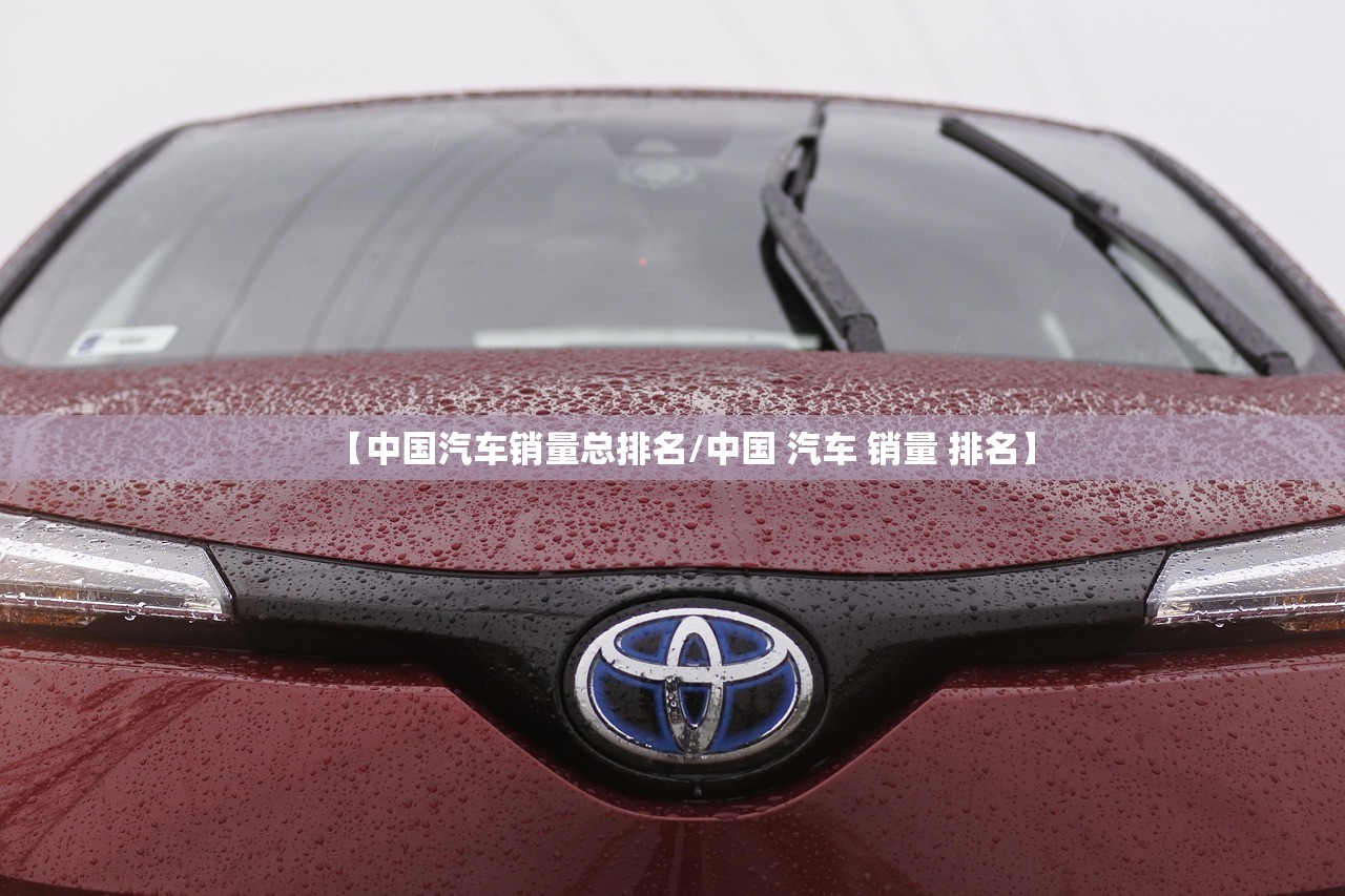 【中国汽车销量总排名/中国 汽车 销量 排名】