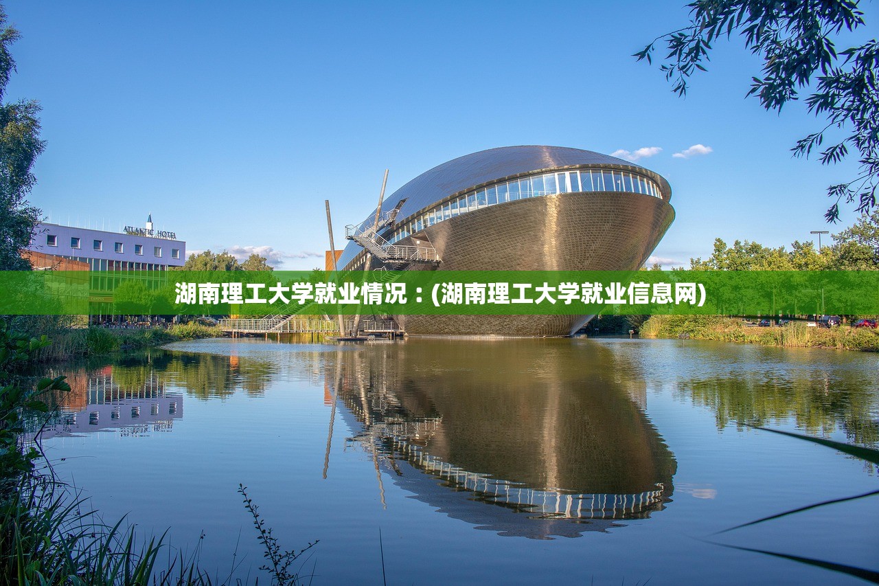 湖南理工大学就业情况︰(湖南理工大学就业信息网)