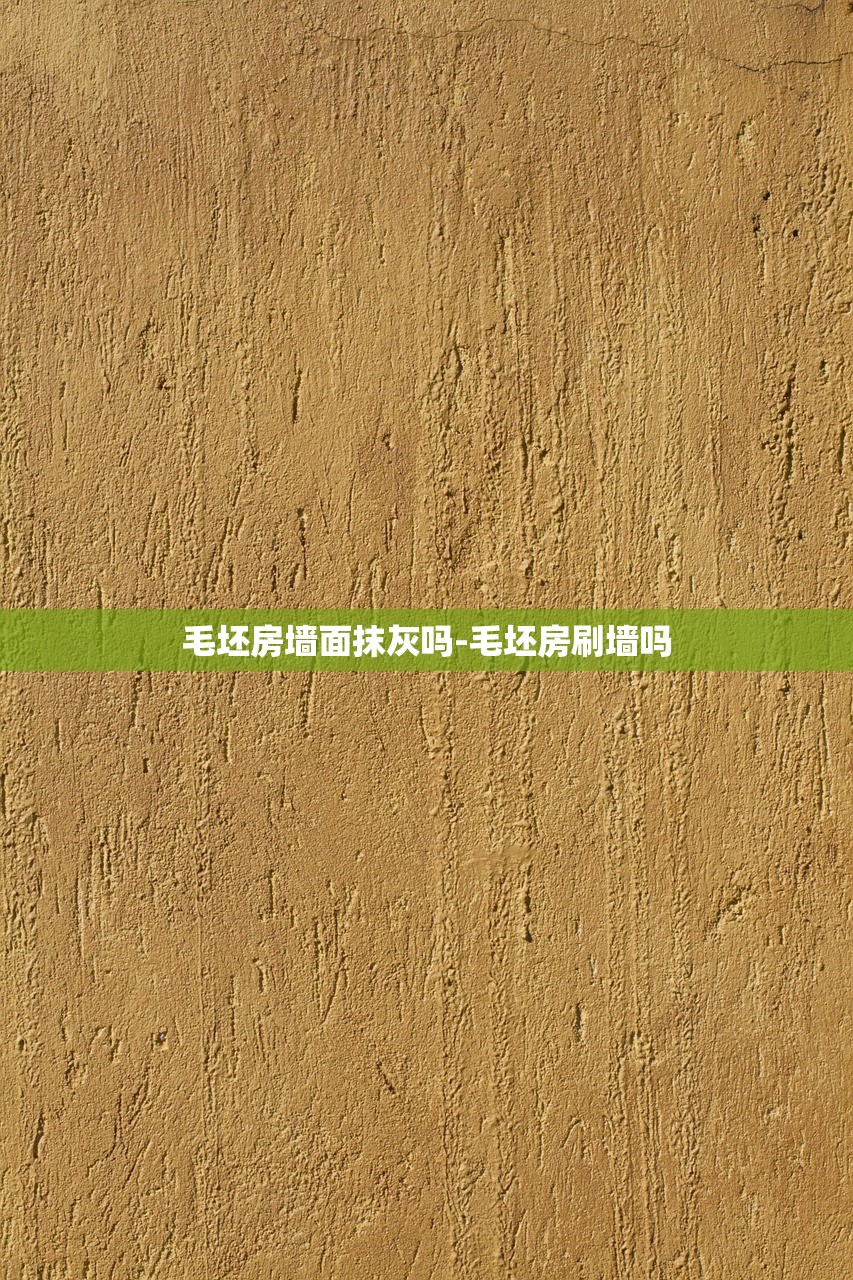 毛坯房墙面抹灰吗-毛坯房刷墙吗