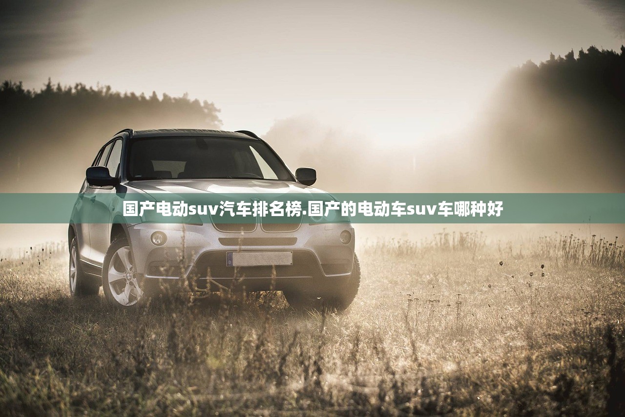 国产电动suv汽车排名榜.国产的电动车suv车哪种好 国产电动suv汽车排名榜.国产的电动车suv车哪种好