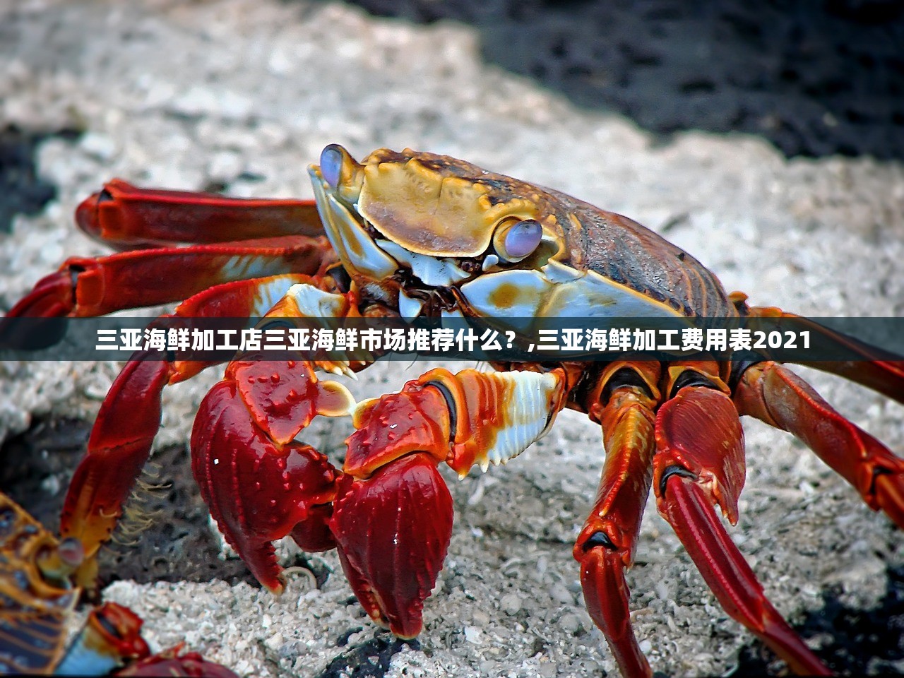 三亚海鲜加工店三亚海鲜市场推荐什么？,三亚海鲜加工费用表2021