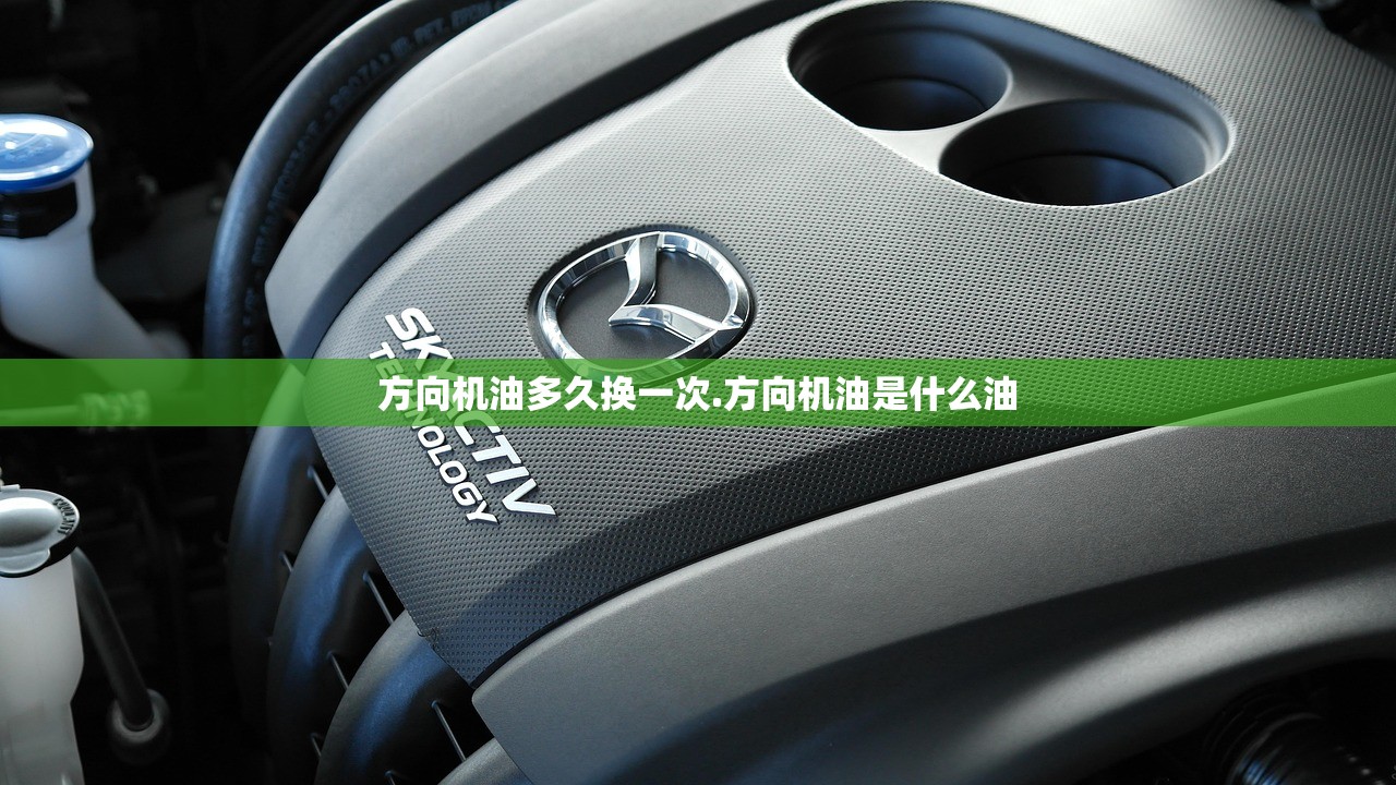 方向机油多久换一次.方向机油是什么油
