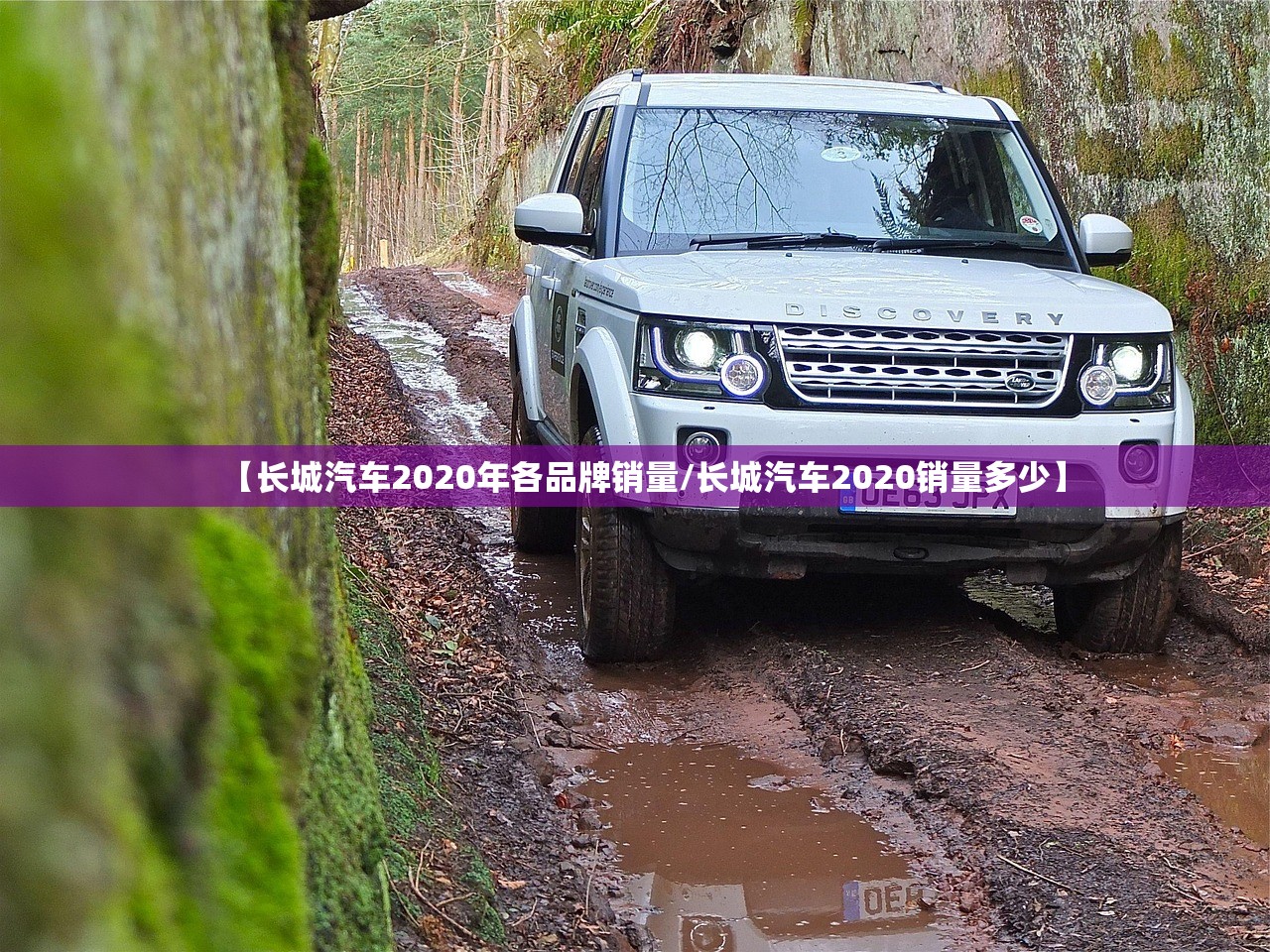 【长城汽车2020年各品牌销量/长城汽车2020销量多少】