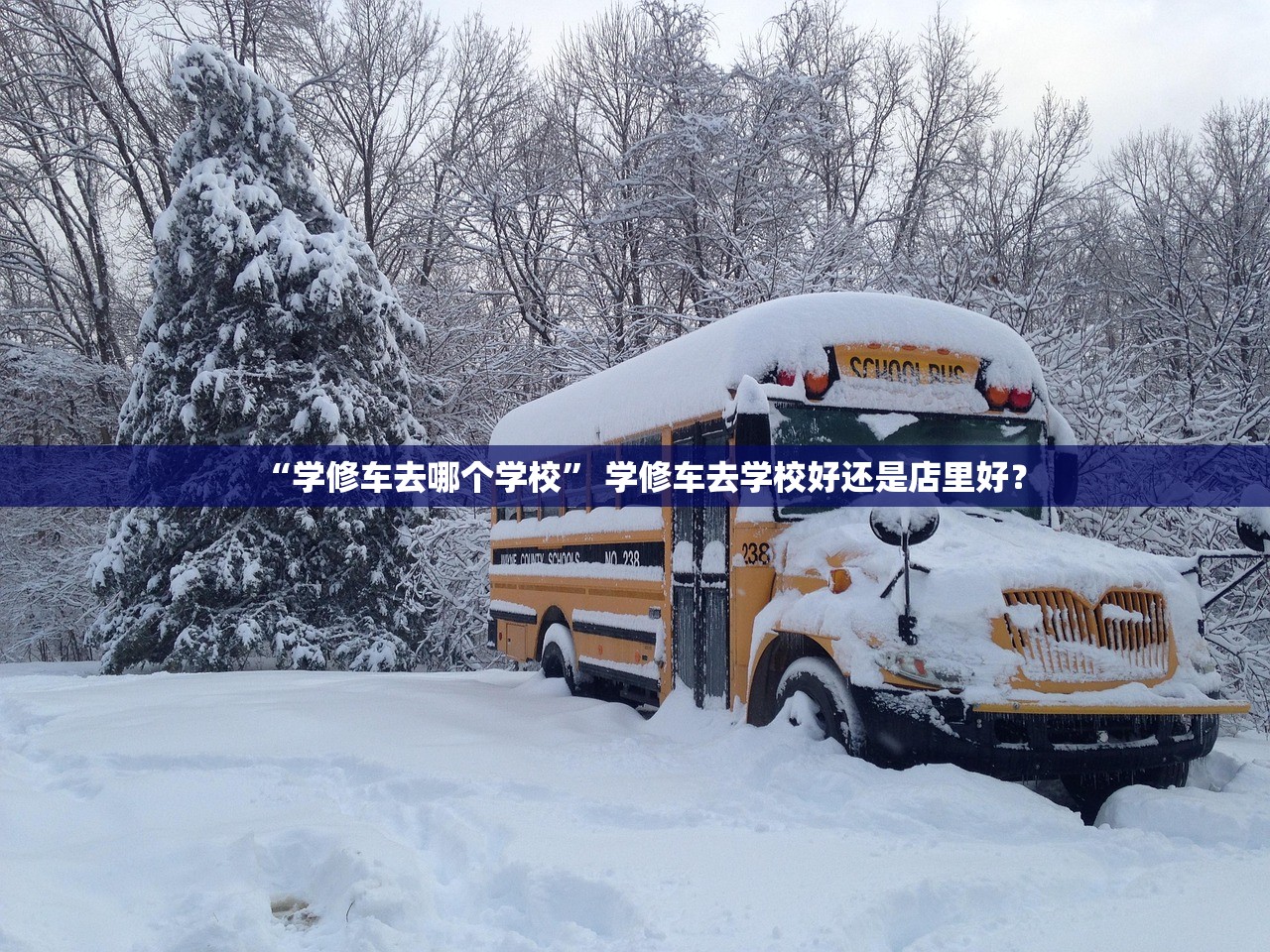 “学修车去哪个学校	” 学修车去学校好还是店里好？