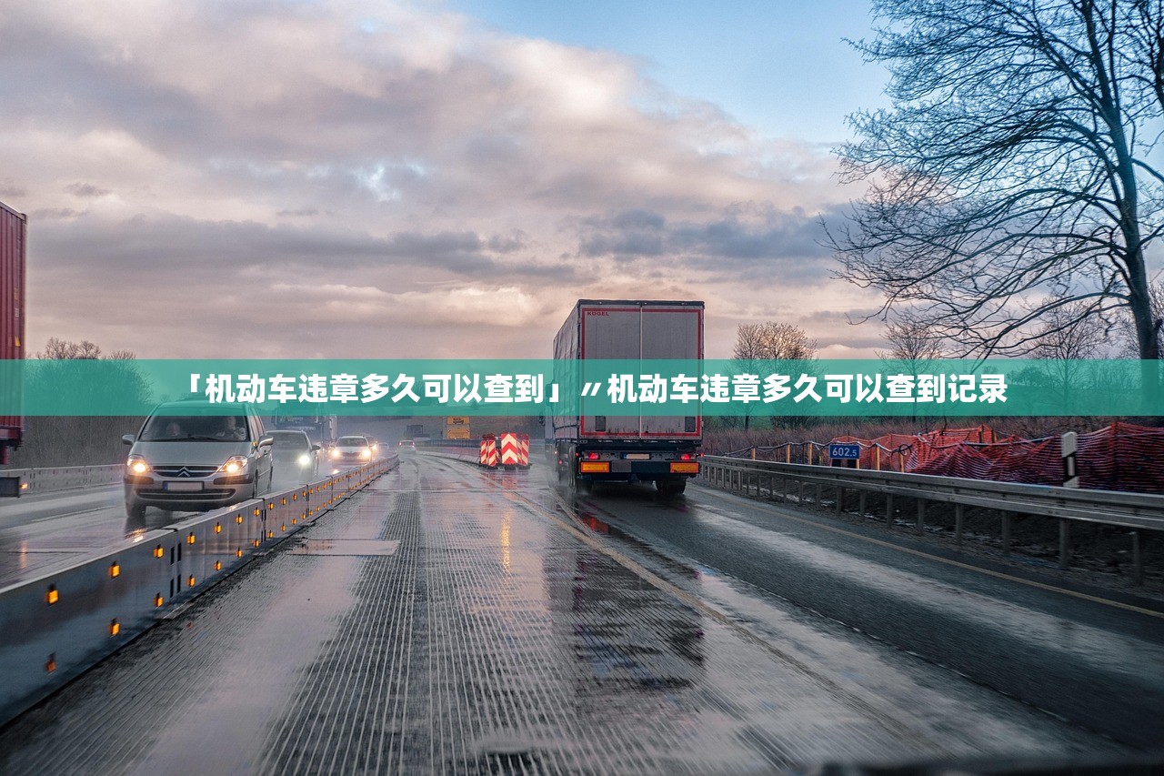 「机动车违章多久可以查到」〃机动车违章多久可以查到记录 「机动车违章多久可以查到」〃机动车违章多久可以查到记录