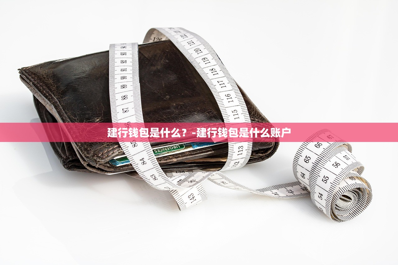 建行钱包是什么?-建行钱包是什么账户 建行钱包是什么?-建行钱包是什么账户