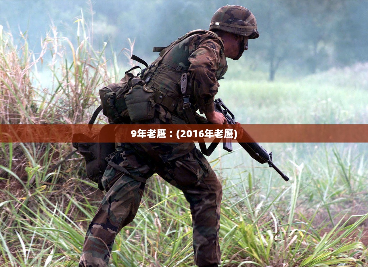 9年老鹰︰(2016年老鹰)