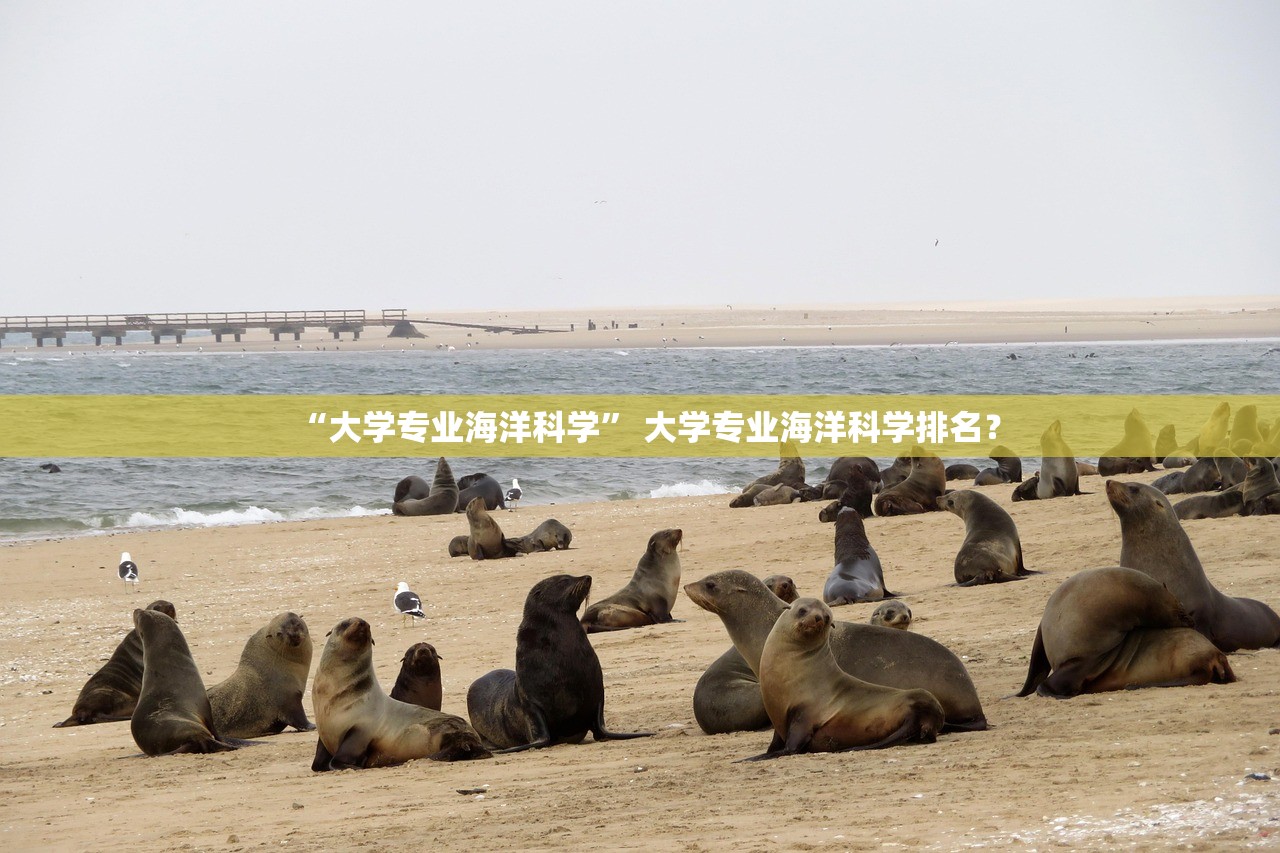 “大学专业海洋科学” 大学专业海洋科学排名？
