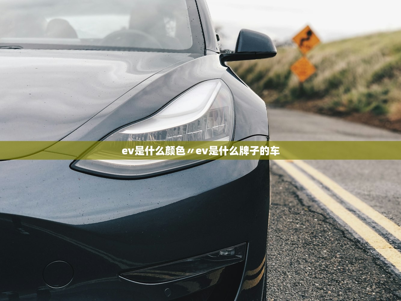 ev是什么颜色〃ev是什么牌子的车 ev是什么颜色〃ev是什么牌子的车