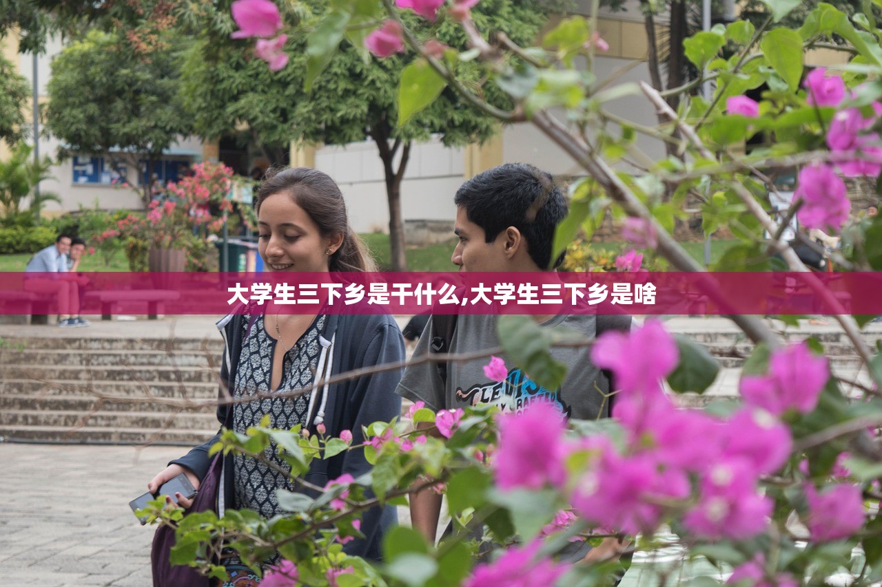 大学生三下乡是干什么,大学生三下乡是啥 大学生三下乡是干什么,大学生三下乡是啥