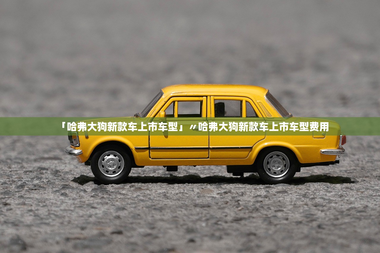 「哈弗大狗新款车上市车型」〃哈弗大狗新款车上市车型费用